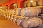 wine barrels in Santa Maria in Mallorca