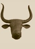 Costitx bull's head
