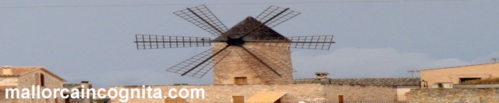 Windmill with wooden sails